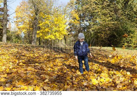 A Little Boy Walks In An Autumn Park With Falling Leaves Of Trees