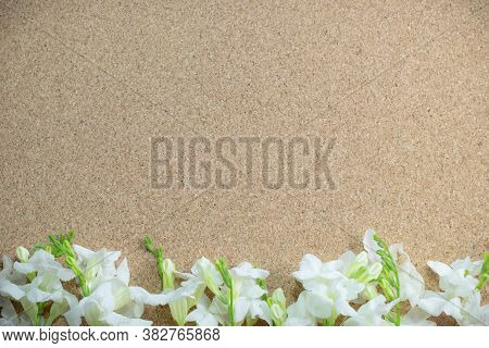 Frame Made Of White Flowers On A Brown Background, Flat Lay, Copy Space,border Design.
