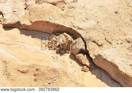 Background Of Yellow Sand With Small Stones After Rain. Soil Erosion After Heavy Rainfall And Precip
