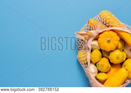 Fresh Harvest Of Zucchini And Pattypan Squash, Yellow Squash And Pattison In A Food Grid On Blue Bac