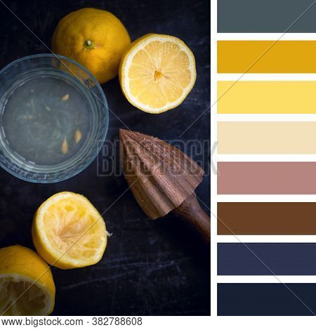 Juicing fresh lemons with a wooden juicer, flay lay. in a colour palette with complimentary colour swatches.