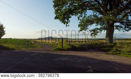 Beautiful Green Agricultural Farmers Fields Looking Out To Glastonbury Tor In Somerset.