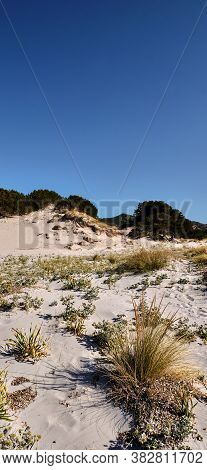 Le Dune Beach Near Capo Comino, Siniscola, Nuoro