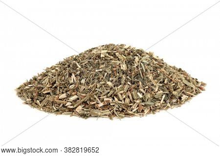 Melilot herb leaf used in herbal medicine to treat odemas, bruises and sprains, used as an anti inflammatory and improves lymph circulation, on white background. Melilotus officinalis.