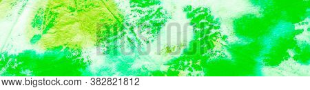 Dirty Art Fresh Organic. White Water Paint. Mint Dirty Artistic Background. Branches Leaves Watercol