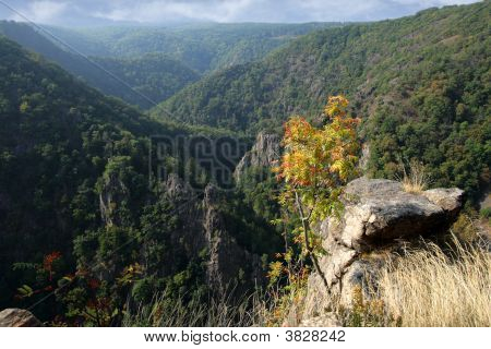 Harz