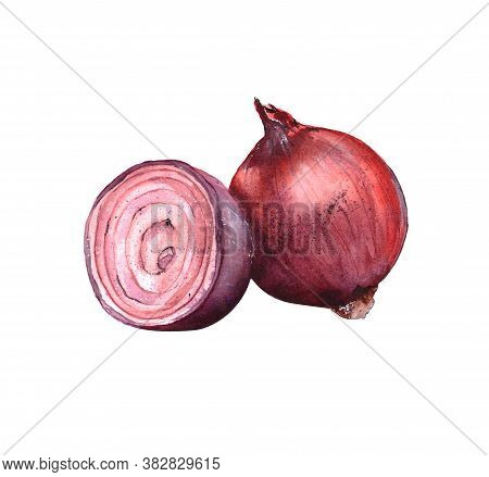 Watercolor Illustration Of Red Onion Whole Onion And Sliced Onion. Isolated On A White Backgrou