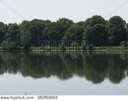 Woodland Reflected In Waters Of Breeding Pond In European Goczalkowice Town At Silesian District In 