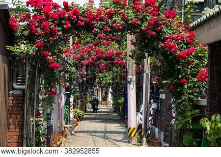 Seoul,south Korea-may 2020: Red Flowers Tunnel With Motorcycle Parking At The Street In Cheonho-dong