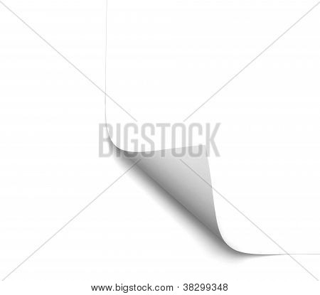 Bianco bianco pagina arricciata