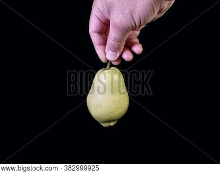 Green Ripe Pear On A Black Background. Bera Pear Variety, Large Fruits. Autumn Fruits.