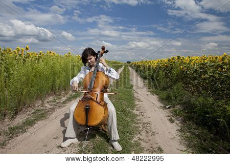 Wide sunflower field with cello musician