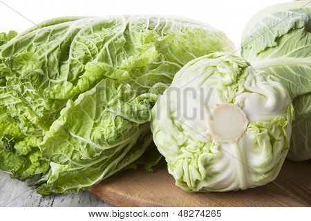 Cabbage Family.