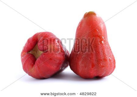 Water Apple