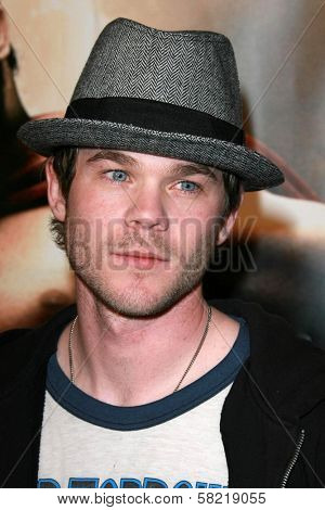 Shawn Ashmore at the Los Angeles premiere of 