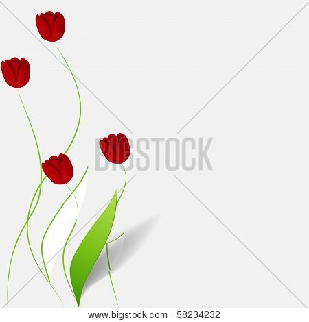 Paper flower background. Vector illustration
