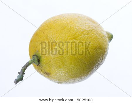 Limon