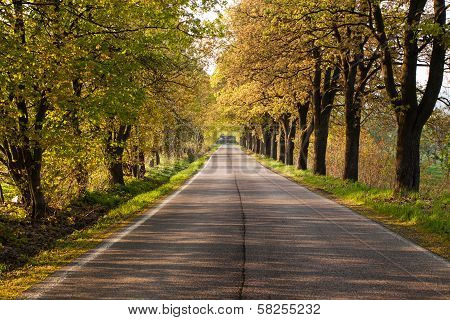 Road
