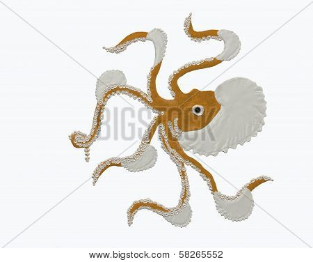 Argonaut octopus monster