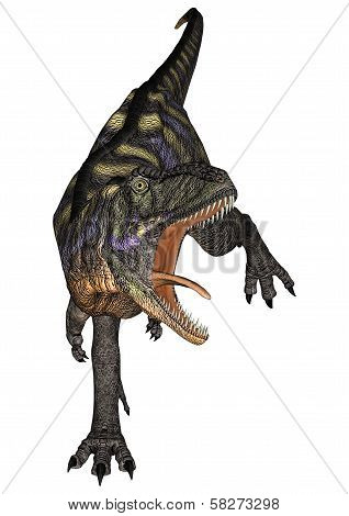 Dinosaur Aucasaurus
