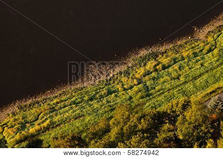 Border Of Water And Land