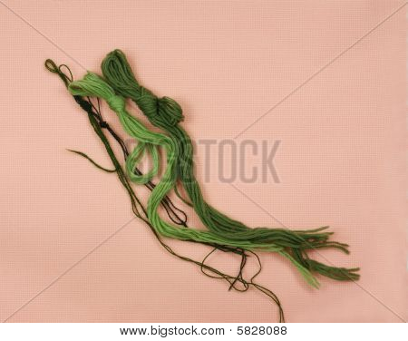 Green Garne Korallen aida