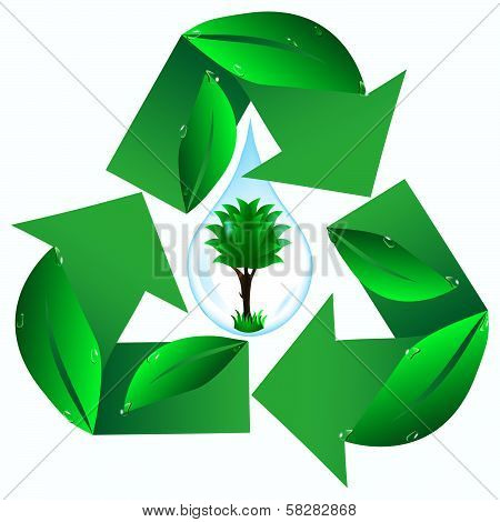 sign ecology