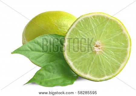 Lime Fruit