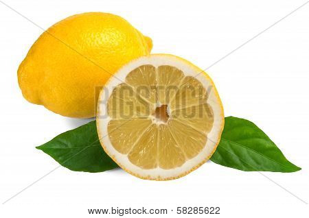 Citrus Fruit