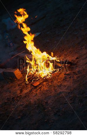 High Flame Of A Bonfire. Night Scene