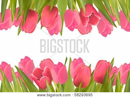 Holiday Background With Pink Beautiful Flowers. Vector Illustration.