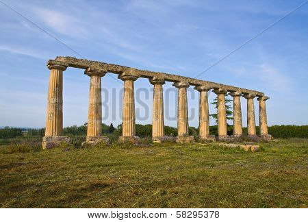 Tavole Palatine. Metaponto. Basilicata. Italy.