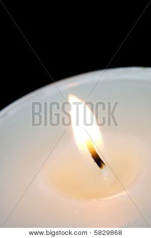 Bílá Tealight Svíce