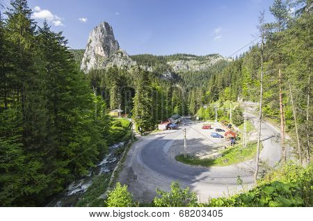 Curvy Road Through Forest