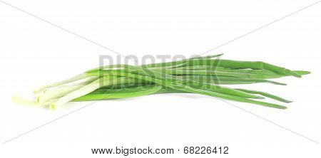 Fresh spring onion.