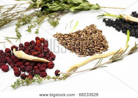 Traditional chinese herbal medicine ingredients, close-up
