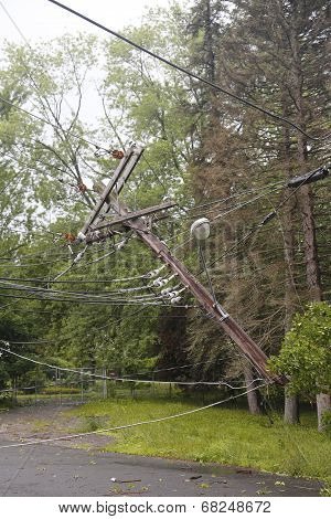 Fallen tree damaged power lines in the aftermath of  severe weather and tornado in Ulster County