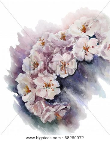 watercolor cherry blossom. Flower painting. Vector EPS 10.