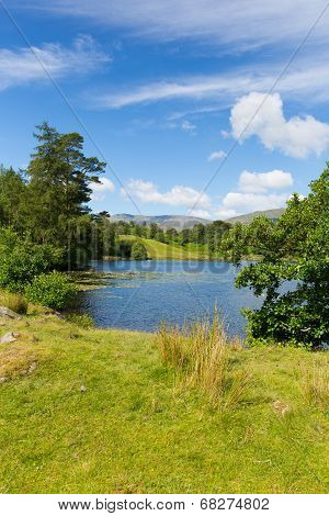 Tarn Hows Lake District National Park England uk