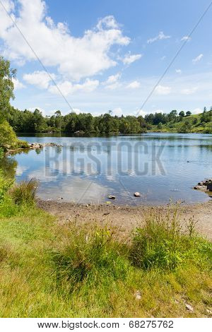 Tarn Hows near Hawkshead Lake District National Park England uk on a beautiful sunny summer day