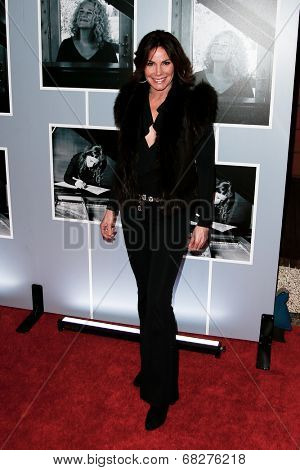 NEW YORK-JAN 12: Countess LuAnn de Lesseps attends 'Beautiful - The Carole King Musical' Broadway Opening Night at Stephen Sondheim Theatre on January 12, 2014 in New York City.