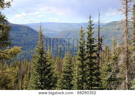 Mountains Pagosa Springs