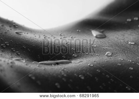 Bodyscape Of A Nude Woman With Wet Stomach And Back Lighting Artistic Conversion