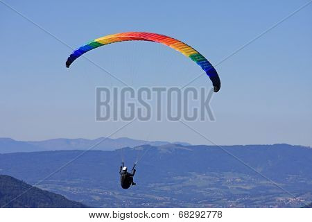 Paraglider