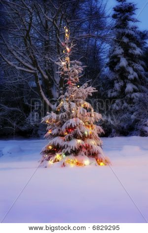 Arbre de Noël