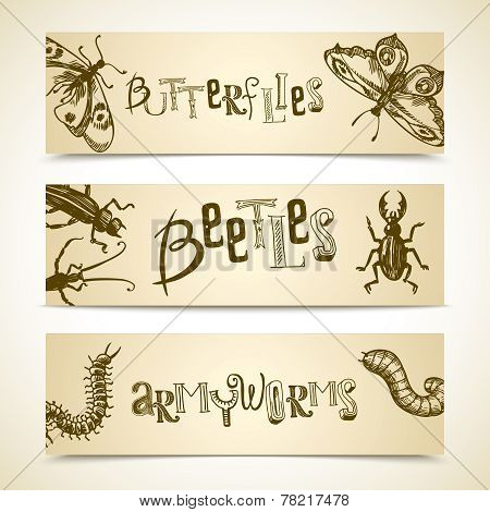 Insects banner set