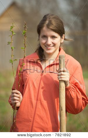 Woman Resetting  Raspberry Sprouts