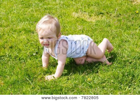 The small kid creeps on a grass