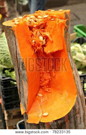 Zucca