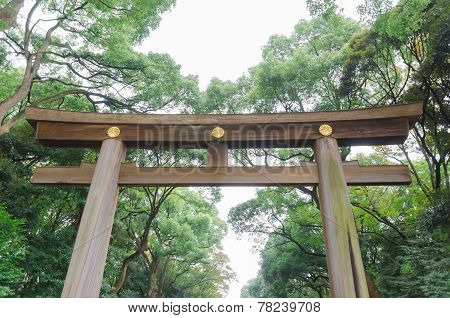 Torii Gate